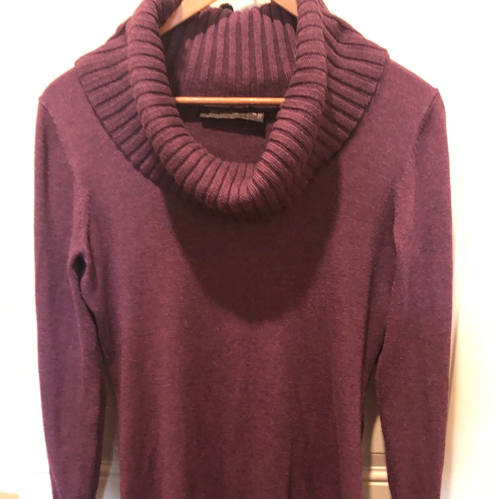 The Limited Sweater